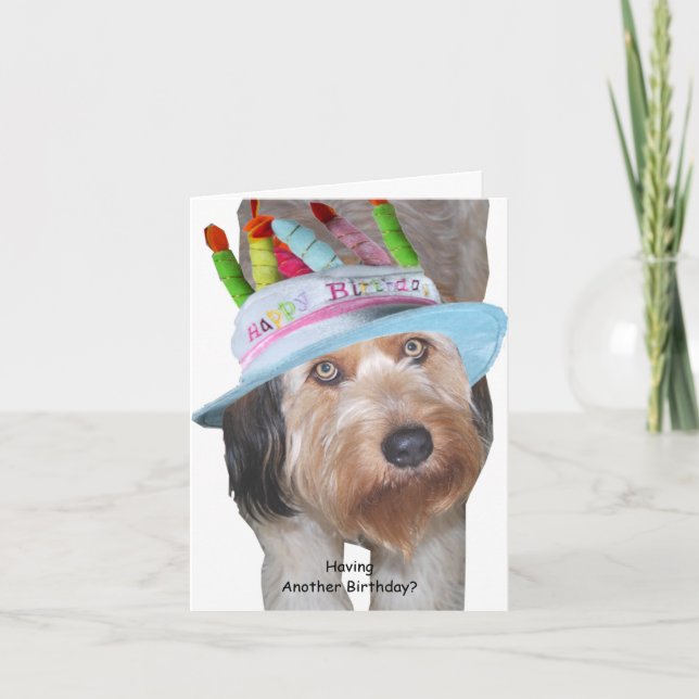 Tarjeta Labradoodle en Gorra de cumpleaños (Anverso)