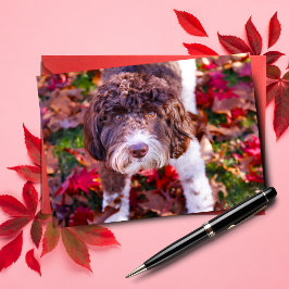 Tarjeta Labradoodle En Otoño