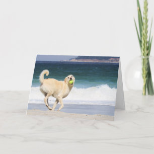 Tarjeta Labradoodle - Feliz Día en la Playa