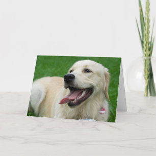 Tarjeta Labrador amistoso con los dulces