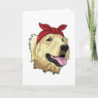 Labrador con pañuelo
