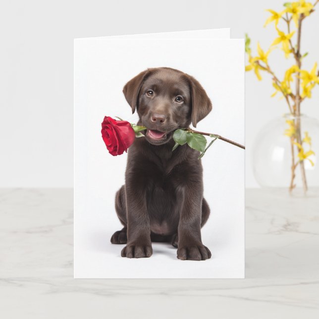 Tarjeta Labrador de Chocolate San Valentín (flor amarilla)