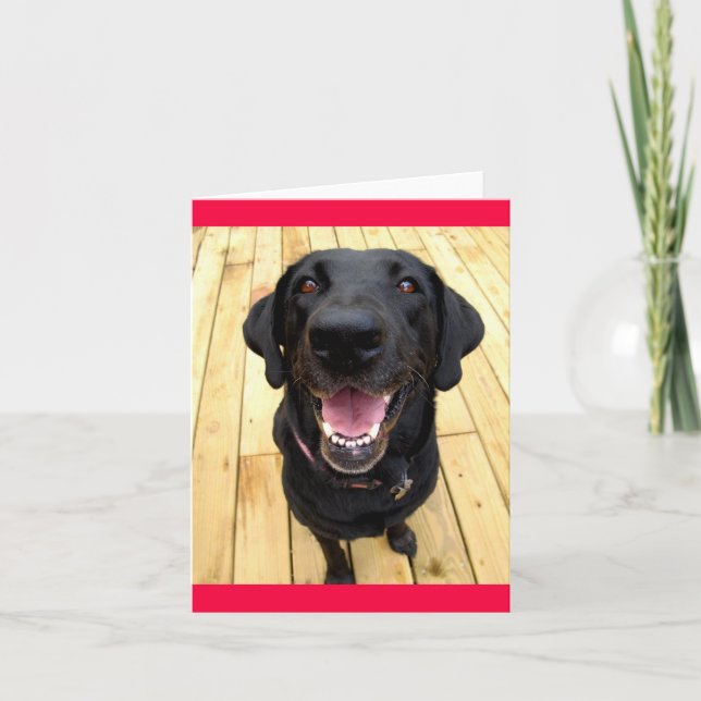 Tarjeta Labrador negro recuperador perro pimienta en blanc (Anverso)