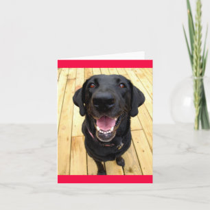 Tarjeta Labrador negro recuperador perro pimienta en blanc