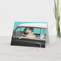 Labrador recuperador conduciendo auto clásico