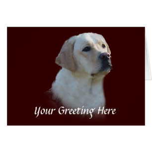 Tarjeta Labrador Retriever