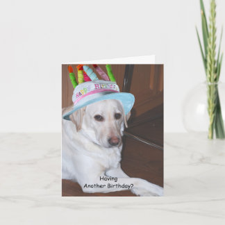 Tarjeta Labrador retriever amarillo en gorra del