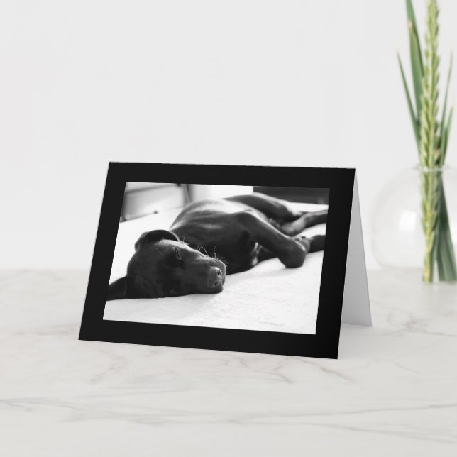 Tarjeta Labrador retriever soñoliento del perrito (Anverso)