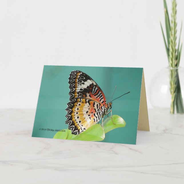 Tarjeta Lacewing rojo Buterfly (Anverso)
