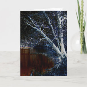 Tarjeta Lado oscuro 7 gcnm