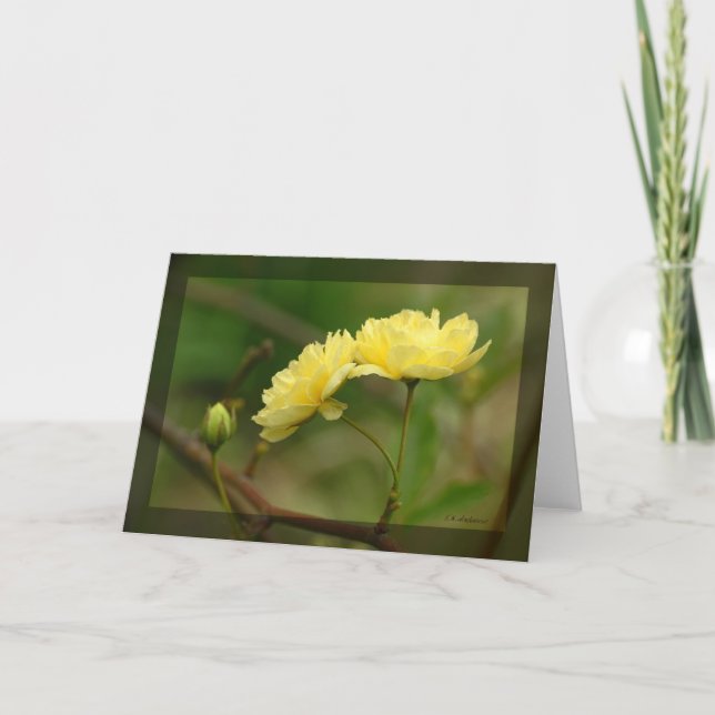 Tarjeta Lady Banks Rosea Duo (Anverso)