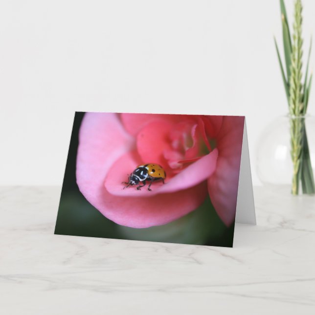 Tarjeta Lady Bug (Anverso)