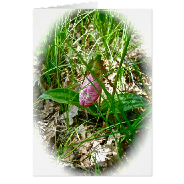 Tarjeta Lady Slipper Wild Orchid (Frente)