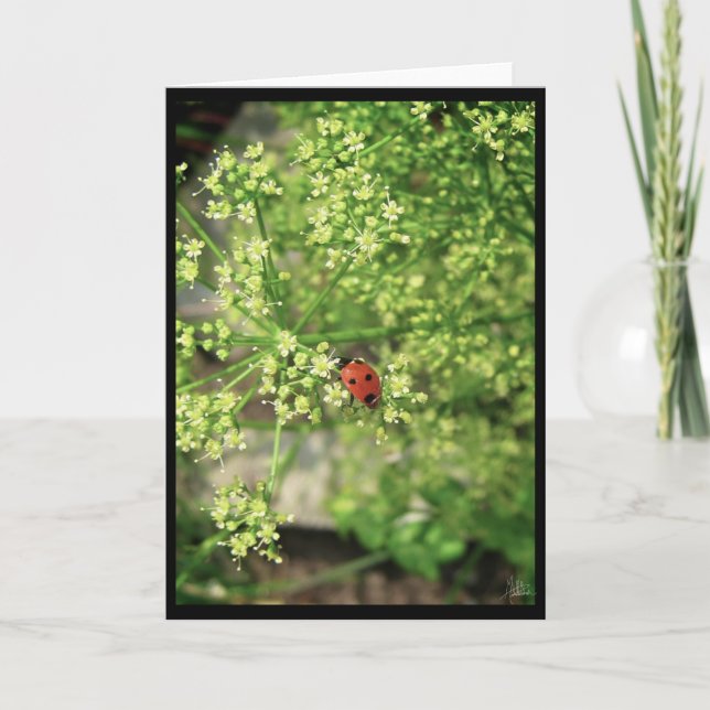 Tarjeta Ladybird [Tarjeta de felicitación] (Anverso)