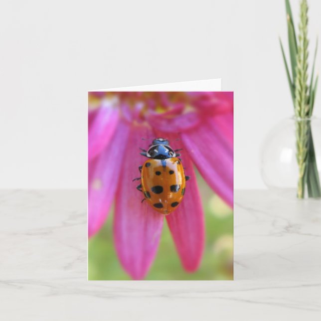 Tarjeta Ladybug (Anverso)