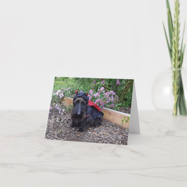 Tarjeta Ladybug Baby (Anverso)