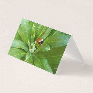 Tarjeta Ladybug en Flores