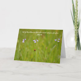 Tarjeta Ladybug Grace Scripture Card John 1:16