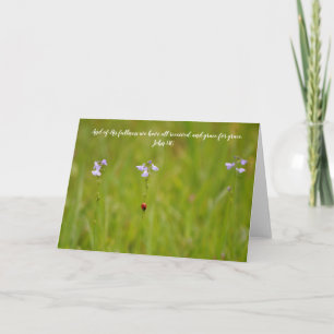 Tarjeta Ladybug Grace Scripture Card John 1:16