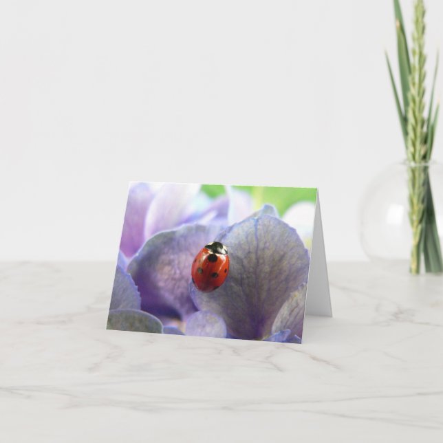 Tarjeta LadyBug Notecard (Anverso)