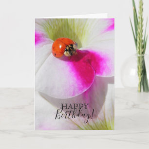 Tarjeta Ladybug on the petunia