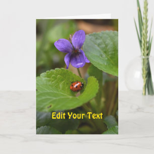 Tarjeta Ladybug sobre las dulces flores violetas