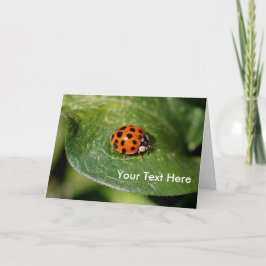 Tarjeta Ladybug Up Close Nature Photo Card