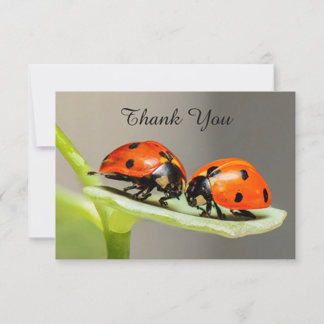 Tarjeta Ladybugs Beetles Flat Gracias (Anverso)