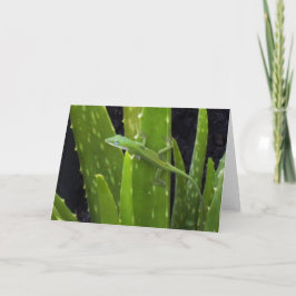 Tarjeta Lagarto de Anole en la planta del áloe