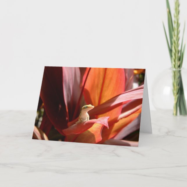 Tarjeta Lagarto de Kauai (Anverso)