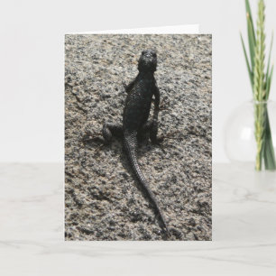 Tarjeta Lagarto Negro