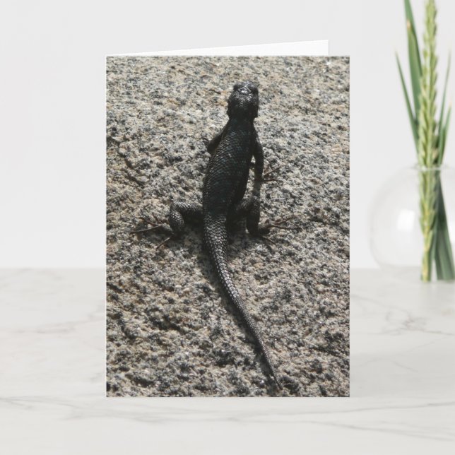 Tarjeta Lagarto Negro (Anverso)