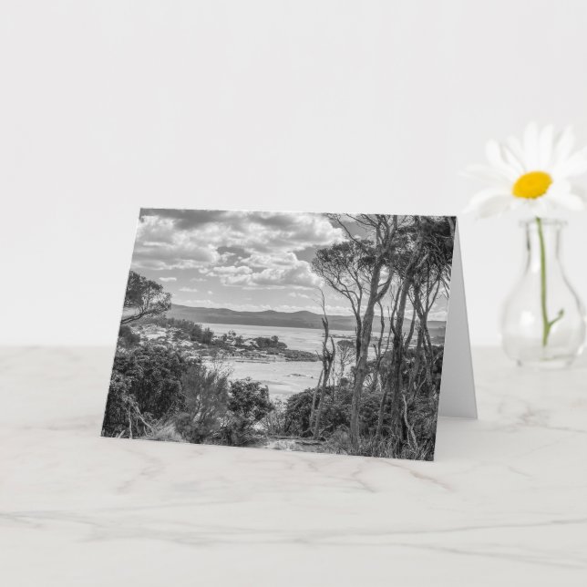 Tarjeta Lago Bournda (Planta pequeña)