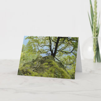 Tarjeta Lago Champlain tree/