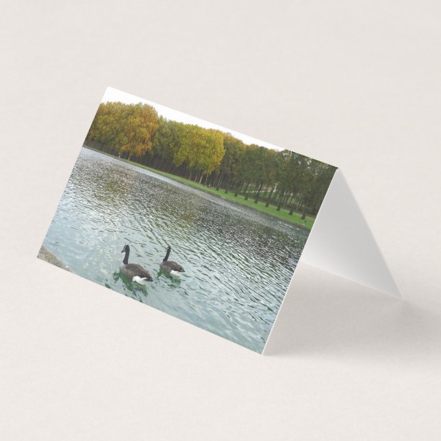 Tarjeta Lago Forestal. Patos. (Anverso)