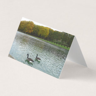 Tarjeta Lago Forestal. Patos.