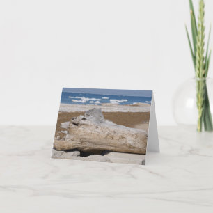 Tarjeta Lago Michigan Iceberg y Driftwood Blank Notecards