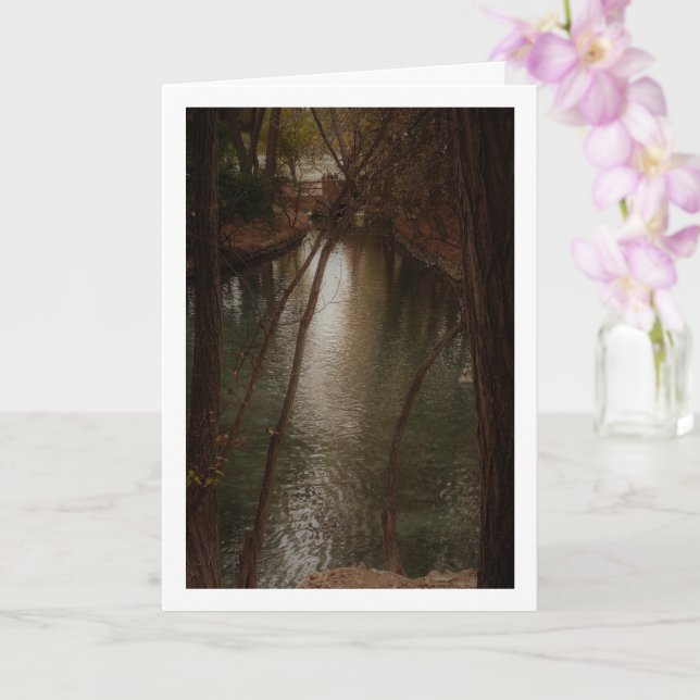 Tarjeta Lago San Vicente Park, Lliria, Valencia (Orquídea)