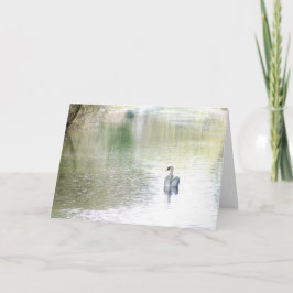 Tarjeta Lago Swan