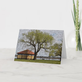 Tarjeta Lago Wendouree Pavilion Ballarat