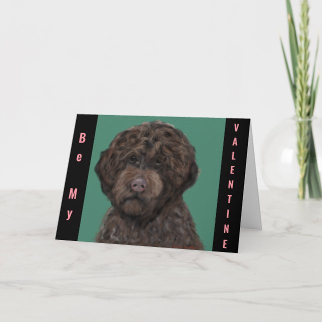 Tarjeta Lagotti Romagnolo (Anverso)