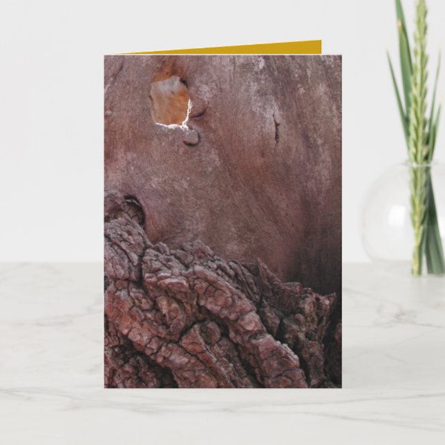 Tarjeta Lágrimas de madera (Anverso)