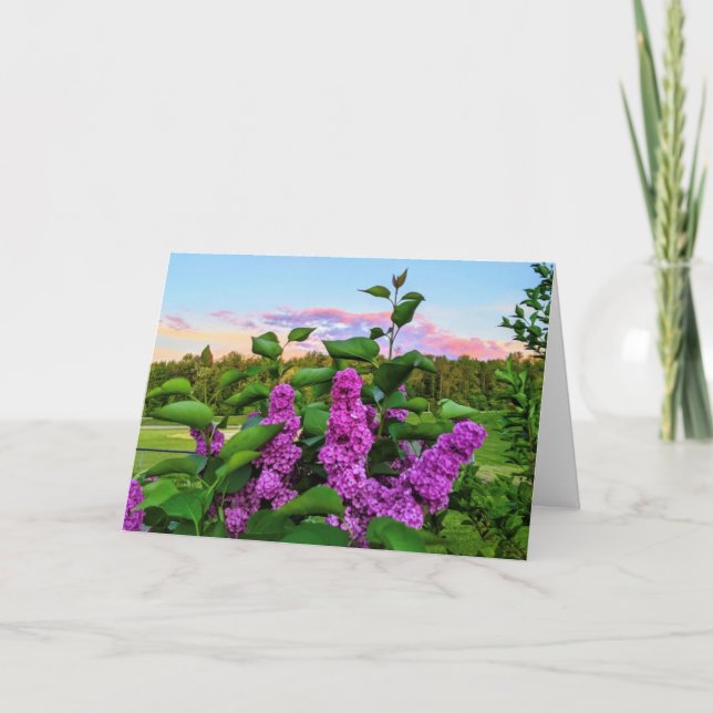 Tarjeta Lágrimas moradas "Que tengas un gran día" (Anverso)