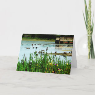 Tarjeta Lake Scene con Cattails Ducks y Dock
