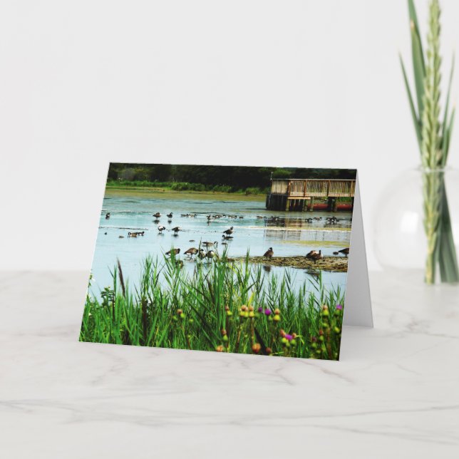 Tarjeta Lake Scene con Cattails Ducks y Dock (Anverso)