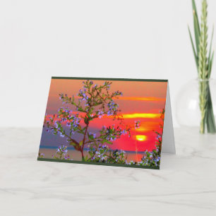 Tarjeta Lake Winnebago Sunset Pensando En Ti