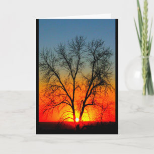 Tarjeta Lake Winnebago Sunset Pensando En Ti