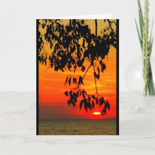 Tarjeta Lake Winnebago Sunset Pensando En Ti