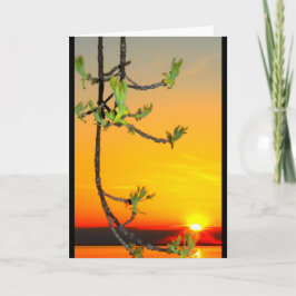 Tarjeta Lake Winnebago Sunset Pensando En Ti