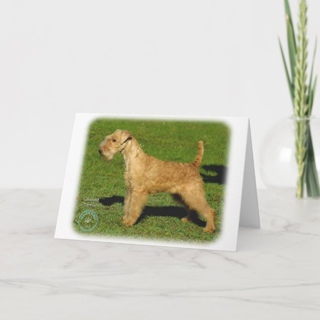 Tarjeta Lakeland Terrier 9P002D-026 (Anverso)